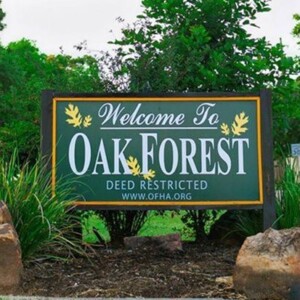 oak-forest-
